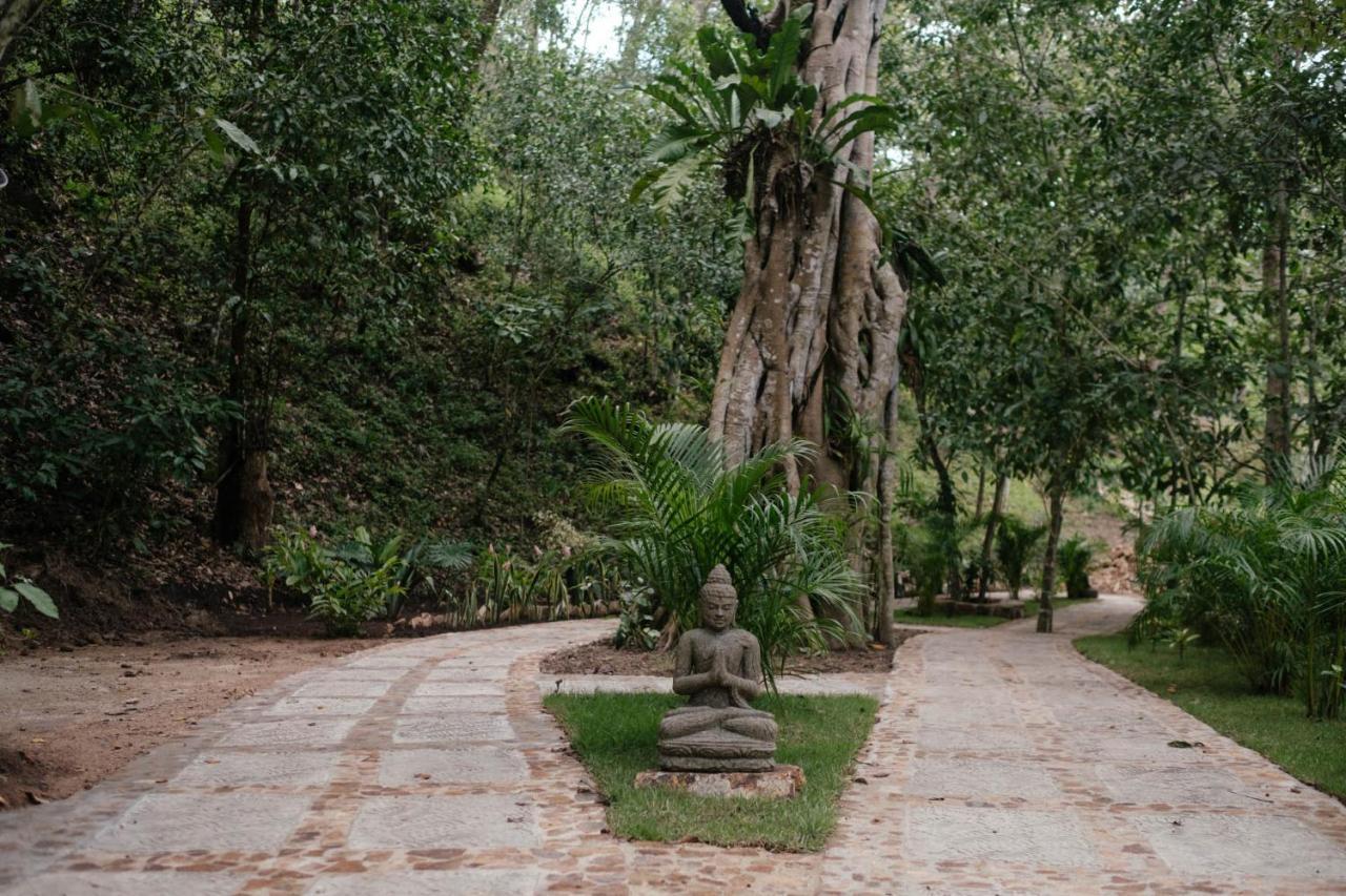 Equilibrium Healing Resort Cabo Corrientes 外观 照片